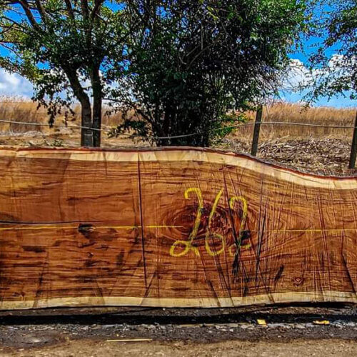 Monkey Pod and Parota slabs from Costa Rica by WoodLab of New York